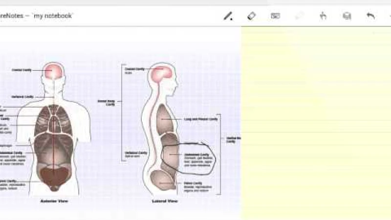 student-learning-reading-lecture-notes.webp